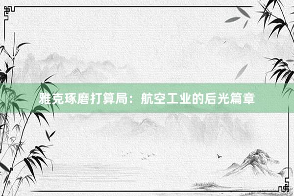 雅克琢磨打算局：航空工业的后光篇章