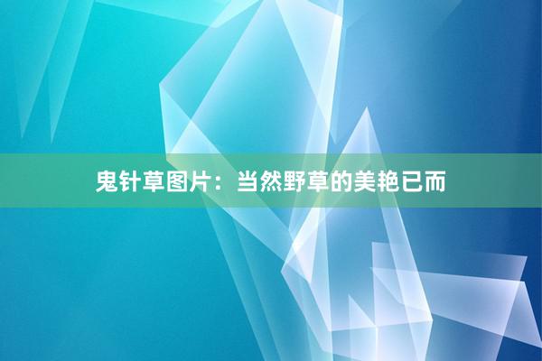 鬼针草图片：当然野草的美艳已而